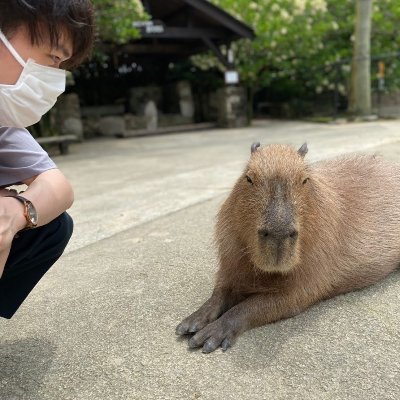 244467dcc's profile picture. 名古屋→東京
お笑い・ラジオが好きです
ラジオ切り抜きプラットフォーム「RadiShare」をつくりました