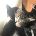 Esther Marie Ortley (@ortleymarie) Twitter profile photo Esther Marie Ortley (@ortleymarie) Twitter profile photo