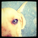 Lori Yost - @poetcharm - Twitter