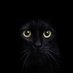 Serzh. Shumiloff. (@serzh_shumiloff) Twitter profile photo Serzh. Shumiloff. (@serzh_shumiloff) Twitter profile photo