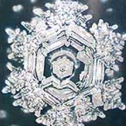 purplepearl（リーシャ） (@purplep76858690) Twitter profile photo