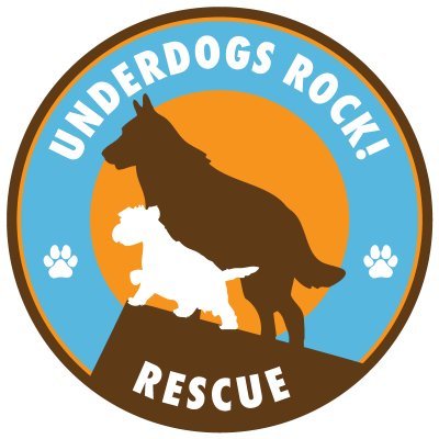 Based in Portland, OR, our mission is to rescue dogs from underserved areas in the continental US, Hawaii & Mexico, then finding the perfect human/dog match up!