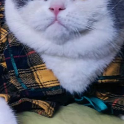 好想吃饭さんのプロフィール画像