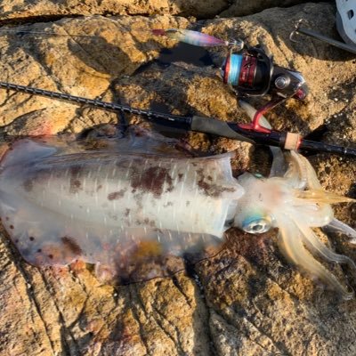 広島🍁釣り🎣下手っぴですがよろしくお願いします🤲