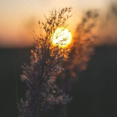 APFIlZZjAMQc4Ns's profile picture. 