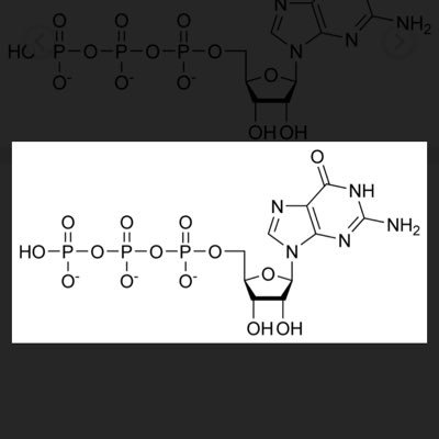 General93966000's profile picture. 有機化学・分子細胞生物学・薬学・医学に非常に興味がある