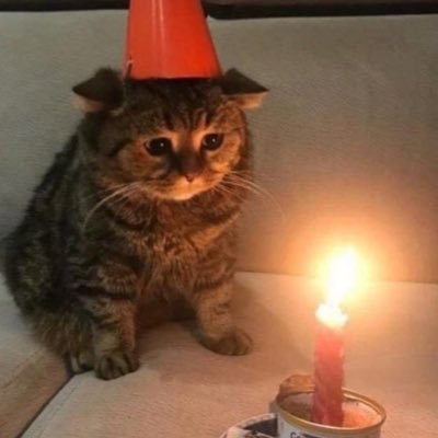 NDNさんのプロフィール画像
