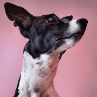 SqShri's profile picture. 26 years old.
She/They.
Ace Lesbian Non-Binary Nonblack Mexican.
ENG/ESP.
Political Science BA