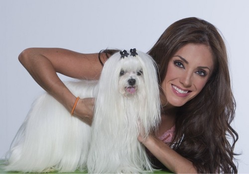 Infos da nova novela, estrelada por @Anahi.