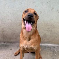 GO555zz (@sgxk771gcean51a) 's Twitter Profile