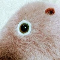 みけねこ将軍 (@jpweemtliy53wms) 's Twitter Profile Photo みけねこ将軍 (@jpweemtliy53wms) 's Twitter Profile Photo
