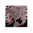 N0TCOLD's profile image