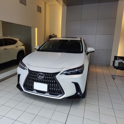 _lexus_nx_ Profile Picture