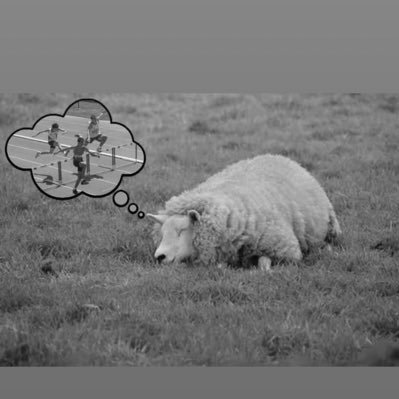 suspensgarden's profile picture. Глава ОПГ