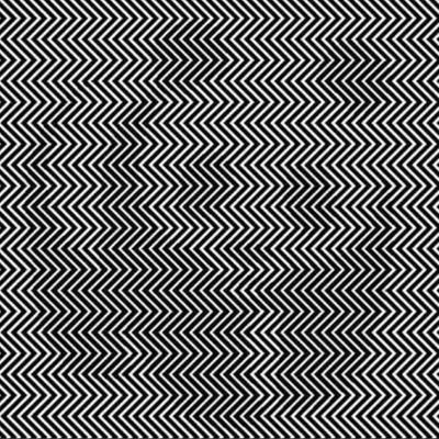 TKE95086951's profile picture. 関東に生息するドラ猫