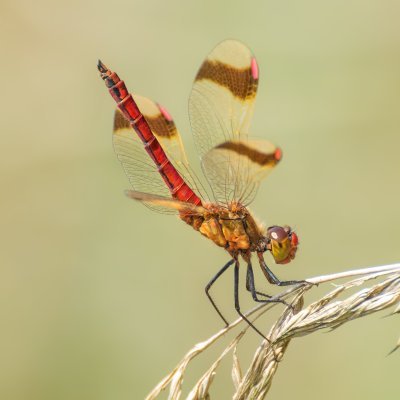 Krzych_Lew's profile picture. #SilniRazem #Trzaskowski2025
Demokrata, liberał. #Photography