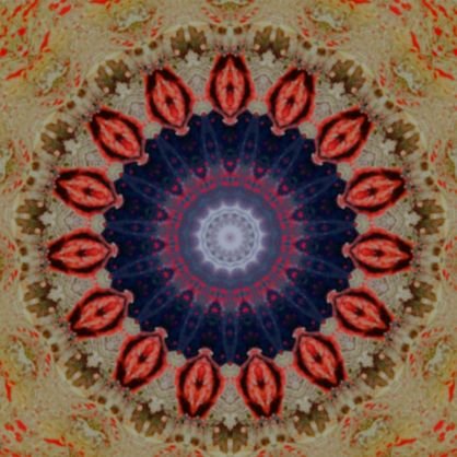 KramerChristia7's profile picture. 