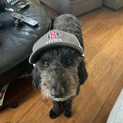 ImWithAztecs's profile picture. Good teams win. Great teams cover.