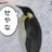 空飛ぶペンギン (@ZAKIOKAsandayo)