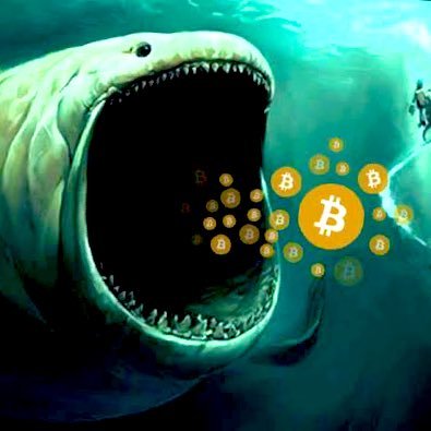 Cryptosignal000's profile picture. Crypto investor & Trader , Join free for more crypto live trade 👉 https://t.co/83eySWSASE #BTC | #ETH | #BNB