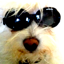 @raychaser@infosec.exchange – Product & Technology, former Co-Founder & CTO, Sumo Logic. Doggles fanatic. Opinions my own. he/him