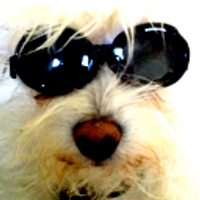 Christian Beedgen (@raychaser) 's Twitter Profile