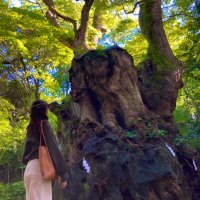 ポポ丸・もち丸のしもべ (@mo_po_000) Twitter profile photo