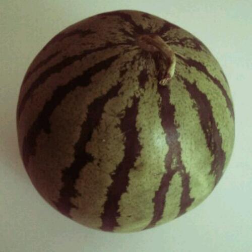 makiko33's profile picture. 