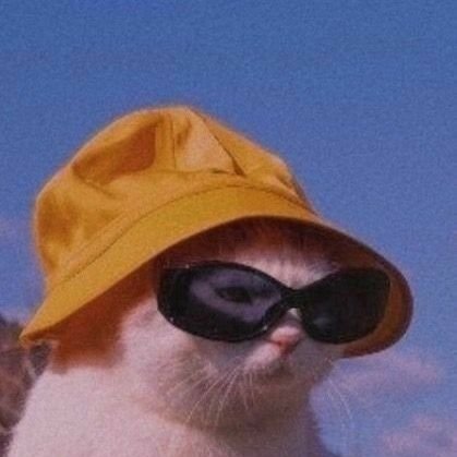 ainavmar's profile picture. 