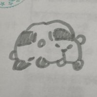 n (@n____az) 's Twitter Profile