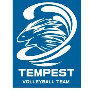 バレーボールチーム TEMPEST 男女混合 三郷で活動 土曜日19時から活動しております！ 練習参加には200円いただきます！  SNSで画像、動画などNGの方は参加にお気をつけください。2017.07.01〜 #埼玉県 #三郷市 #越谷市 #松伏 #八潮 #男女混合