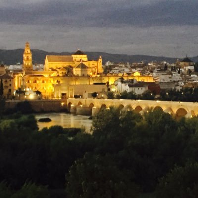 199ortega_a's profile picture. Sin ánimo de ofender