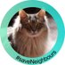 Lady Elanor of Deep Purple 🙏🐈‍⬛🌿 (@deeppurplecat) Twitter profile photo