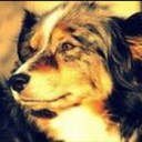 Justin Mazzarella - @JustinMazz - Twitter