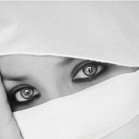 عوسجة (@papersautumn) 's Twitter Profile Photo