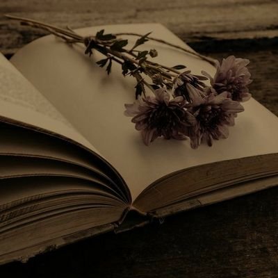 rndmtts's profile picture. just me versus the world.