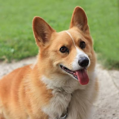 papjpa_1111's profile picture. 175-65-20