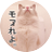 けーくん🐾もっちゃん🐾はにくん🐾のアイコン