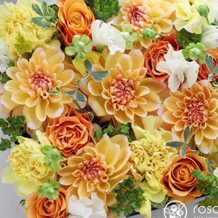 LSE6L323mHPAc0d's profile picture. こちら野球用⚾🏟
最近留守にしがちです
智辯和歌山好きです