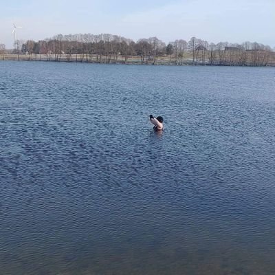 Agniesz42938695's profile picture. 1/2 żartem 1/2 serio. Prawicowa feministka.