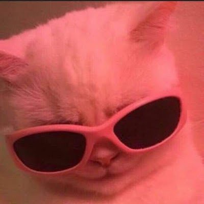 DaninVoun's profile image