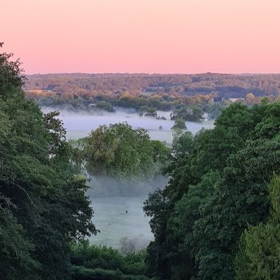 HickmanCandida's profile picture. 