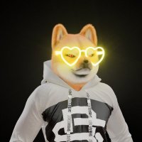 Naveed (@nav11d) 's Twitter Profile