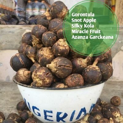 ⏺️ Everything natural ⏺️ Gorontula ⏺️ Organic seeds ⏺️ Organic powder⏺️ Aphrodisiac ⏺️Pure herbs
👉We Ship Gorontula Worldwide 👉Jalin Herbal Distributor