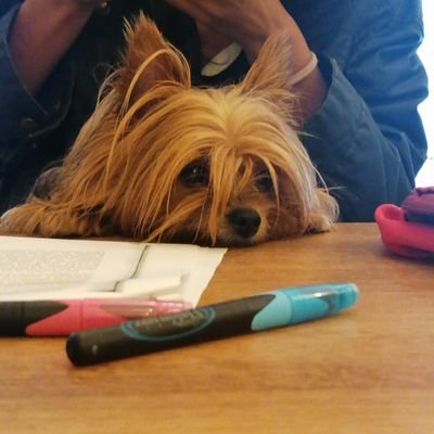 manirojasd's profile picture. CPG y Sociología || UR || Adicta a los conciertos