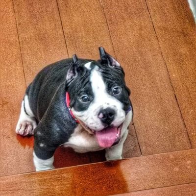 gt2598's profile picture. 