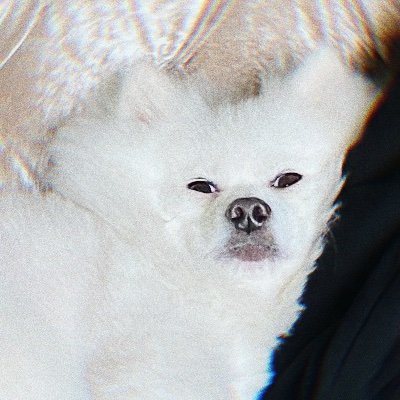 F_fffffishさんのプロフィール画像