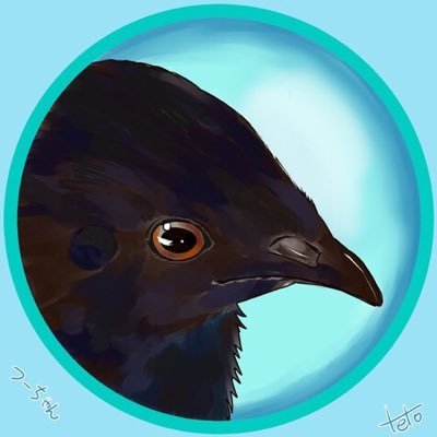 アイコンは「てと」さんに描いて頂きました✨姫うずら(♂2歳4ヶ月🌈♀1歳11ヶ月🌈)とその子供(♂4歳7ヶ月🌈)&奥様♀(2歳8ヶ月🌈)古参♂君(5歳6ヶ月)とその奥さん♀(2歳5ヶ月🌈)後妻さん♀(3歳2ヶ月🌈)と新入りちゃん︎︎ ♀(1歳半🌈)怪我保護娘︎︎ ♀と元気っ娘︎︎ ♀が居ます✨️
