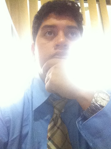 CEO213's profile picture. youngwhale