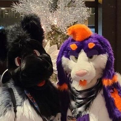 Frankiboibutt's profile picture. Manager of oil, fursuiter, designer, car enthusiast and mechanic. I stream some times. https://t.co/xucdcppGal